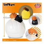 [ предварительный заказ товар 2025 год 10 месяц продажа предположительно ] Haikyu!! .... внутренний свет город Хюга sho .