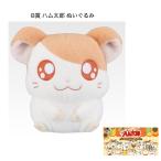 【予約商品 2025年11月発売予定 】