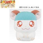 【予約商品 2025年11月発売予定 】