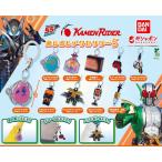 めじるしアクセサリー 仮面ライダー