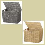 『ＰＰ』蓋付き四角タイプ収納ボックス「38×26×26.5cm」／２種類