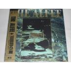 （ＬＤ：レーザーディスク）アルフィー THE ALFEE 10