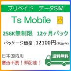 プリペイドsim ドコモ 格安SIM 低速無制限12ヶ月プラン Docomo 格安SIM 12ヶ月パック レンタル 返却不要 延長可能 シムカード 1年間 国内通信 インターネット