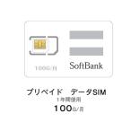 プリペイド SIM 格安 データ100G/月 1年間プラン 高速データ100GB 中速無制限 国内使用 契約不要 解約不要 手続き不要 データ通信SIM 4G