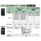Panasonic 電設資材 ブレーカ 安全ブレーカHB型 電灯・分岐用 極数素子数2P2E 定格電流10A BS2020