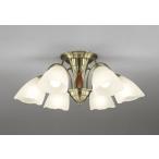 OC006917BRLEDシャンデ...