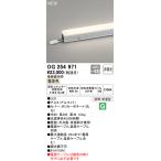 OG254971 LED間接照明 スタンダードタイプ（ドットレス） 屋外用 非調光 長300 電球色 オーデリック 照明器具