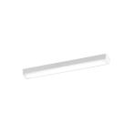 XL501007R3D LED١饤 LED-LINE R15鿧 饹2 ľշ ȥշ 20 1600lm Hf16Wϡ1 Ĵ 3500K ǥå