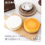 母の日 早割 100円OFFクーポン 椿屋珈琲のケーキ 選べる２個セット ベイクドチーズケーキ レアチーズケーキ ガトーショコラ 食品 ギフト