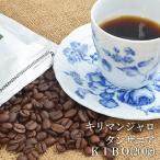母の日 早割 100円OFFクーポン キリマンジャロ タンザニア ＫＩＢＯ(200ｇ)  アフリカ産 コーヒー豆 コーヒー ギフト 食品