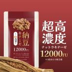 ナットウキナーゼ 12000FU/日(1日1粒)30日分 サプリ 納豆キナーゼ nattokinase 耐酸性カプセル 国産 日本製 Herbase(ハーベース)