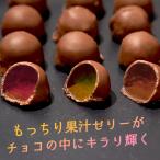 フルッチョ 4種から選べる ペクチンゼリー チョコレート 110g 1000円ポッキリ 送料無料 フルーツゼリー 業務用 みかん 巨峰 ピーチ メロン