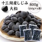 しじみ シジミ 蜆 十三湖 津軽  青森 冷凍　十三湖産冷凍しじみ  大粒 800g（200g×4袋）