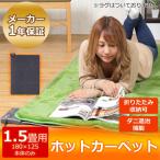 ホットカーペット 本体 1.5畳用 ダニ退治 折り畳み 温度調節 省スペース 足元暖房 本体のみ TEKNOS TWA-1500B