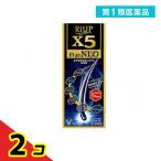 リアップX5プラスネオ 60mL 2個セット 第１類医薬品 送料無料