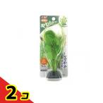 GEX.. вода . чистый растения chidomegsa1 штук 2 шт. комплект 