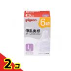 ピジョン 母乳実感 乳首 6ヵ月頃から Lサイズ(Y字形) 2個入  2個セット