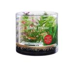 GEX.. вода . бутылка растения milio filler m1 комплект (1 шт )