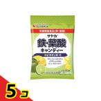  Saya ka металлический * фолиевая кислота сладости -+ витамин E*C( лимон lime тест ) 65g 5 шт. комплект 