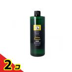 緑の魔女 キッチン プレミアム  480mL (詰め替え用)  2個セット