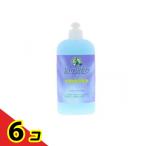 緑の魔女 トイレ用洗剤 420mL  6個セット