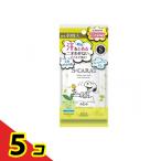 S-CARAT エスカラット 薬用デオドラントパウダーシート ヴァーベナミント 徳用 40枚入  5個セット