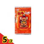 貼るぬくっ子 レギュラーサイズ 衣類に貼るカイロ 10個入  5個セット