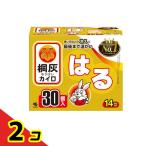 桐灰カイロ はる レギュラー 14時間持続 30個入  2個セット