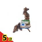 GEX натуральный коряга 1 штук (S) 5 шт. комплект 