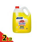 花王プロフェッショナルシリーズ バスマジックリン 業務用 4.5L 2個セット