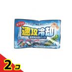 紀陽除虫菊 速攻冷却 携帯用冷却パック 1個入 (K-2001)  2個セット