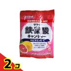  Saya ka металлический * фолиевая кислота сладости - розовый грейпфрут тест 65g 2 шт. комплект 