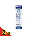 シュミテクト コンプリートワンEX 薬用ハミガキ 増量 95g (数量限定) 2個セット