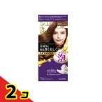 サロンドプロ 泡のヘアカラー・エクストラリッチ 白髪用 4P ピュアブラウン 1組入  2個セット