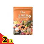 健康食品 発酵 熟成 ショウガ 万田酵素 GINGERペースト 分包 タイプ 77.5g (2.5g×31包)  2個セット