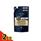 LUCIDO ルシード 薬用スカルプデオシャンプー 詰め替え用 380mL メンズ ニオイ 40才 頭皮ケア 加齢臭 2個セット