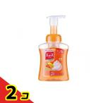  Mu z пена мыло для рук полный -ti свежий. аромат бутылка 250mL 2 шт. комплект 