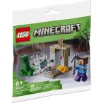 レゴ マインクラフト 洞窟のスティーブとクリーパー ミニセット LEGO MINECRAFT Dripstone Cavern 30647