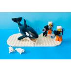  Lego юг высшее . осмотр . детали комплект LEGO Antarctic Set