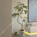 観葉植物 フェイクグリーン 鉢付き 