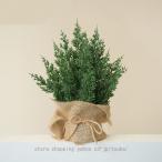 クリスマスツリー ミニ テーブル 卓上小さい 小物 可愛い 部屋 玄関 ナチュラル 置物 飾り ヌードツリー インテリア プレゼント クリスマス おしゃれ