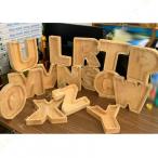 貯金箱 木製 北欧 貯金箱 子供 お賽銭 賽銭箱 シンプル おしゃれ インテリア 透明 収納タンク 英字26文字 レトロ 木製 貯金箱 雑貨 撮影道具 収納箱 贈り物