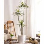  настоящий . человеческий труд декоративное растение искусственная зелень драцена фэн-шуй растение в горшке подлинный товар целиком искусственная листва . настоящий . лист .. модный интерьер зеленый ... жизнь простой 