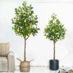  лимон. дерево искусственная зелень большой растение в горшке настоящий большой человеческий труд дерево вход магазин . починка не необходимо декоративное растение поддельный человеческий труд декоративное растение искусственный цветок салон открытие праздник .