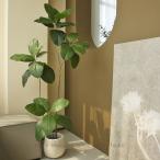  искусственная зелень человеческий труд декоративное растение . лист . японский стиль искусственный цветок настоящий .. нет полив не необходимо . починка простой растение в горшке каучуковое дерево офис салон интерьер большой декоративное растение большой 