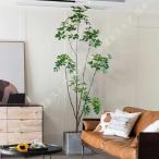 フェイクグリーン インテリア 鉢植え 人工観葉植物 人工植物 おしゃれ 緑 観用植物 ベンジャミン グリーン装飾 幸福の木 贈り物 ギフト 母の日 父の日