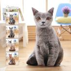 Yahoo! Yahoo!ショッピング(ヤフー ショッピング)猫 ぬいぐるみ 抱き枕 超リアル 猫 ネコおもちゃ 可愛い キッズ 女の子 男の子 彼女 子供 癒し ふわふわ 動物 寝室 飾り物 店飾り インテリア ギフト プレゼント