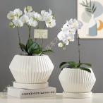  терракота производства растение в горшке кактус горшок бонсай горшок Северная Европа белый простой ins способ "дышит" низ дыра имеется длина . tray имеется закрытый интерьер отель .. бардачок керамика модный 