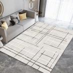 ラグ ホットカーペットカバー 3畳 1畳用 ラグマット カラー カーペット 3帖 床暖房 低反発 冬 おしゃれ かわいい 絨毯 ホットカーペット対応 正方形 あったか