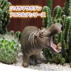 モダンスタイルサボテン ジオラマ サボテン  F-1　観葉植物 人気 誕生日 プレゼント ギフト プレゼント